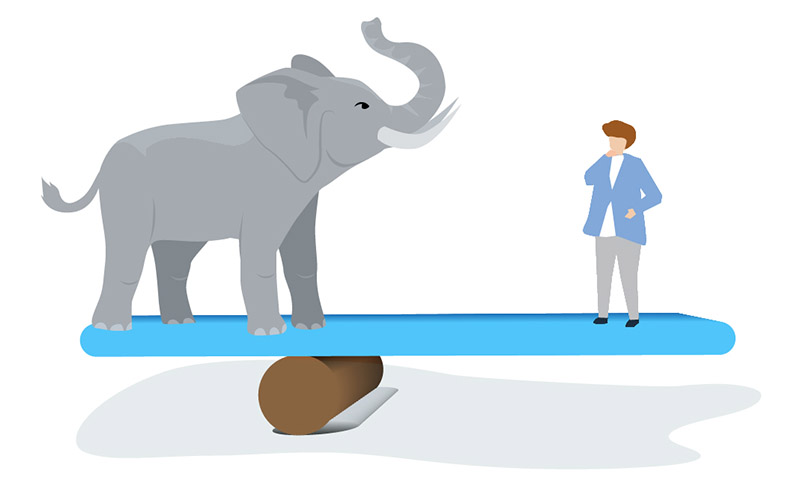 L'immagine mostra un piano in equilibrio su un fulcro. Il piano regge, da un lato, un elefante e, dall'altro, un essere umano. Il fulcro, per poter mantenere il piano in equilibrio, è spostato verso il peso maggiore, cioè l'elefante.
