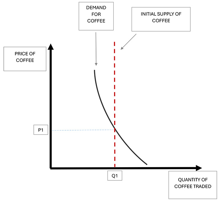The chart displays a Cartesian plane where the horizontal axis (x-axis) represents the quantity of coffee traded, and the vertical axis (y-axis) shows the price of coffee. Within the graph, the downward-sloping demand curve intersects with the initial supply of coffee, which is represented by a vertical line. Their intersection determines the market equilibrium, where a quantity of coffee Q1 is exchanged at a price P1.
