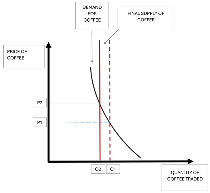The chart illustrates the impact of a reduction in the supply of coffee. The new supply curve is shifted to the left compared to the original one and is shown at the quantity level Q2. This new curve intersects the demand curve at a new market equilibrium point, where a smaller quantity of coffee is traded at a higher price P2.
